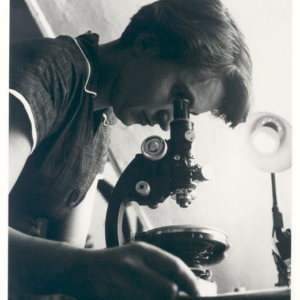 Rosalind Franklin looking through a microscope in a 1955 archival photograph.