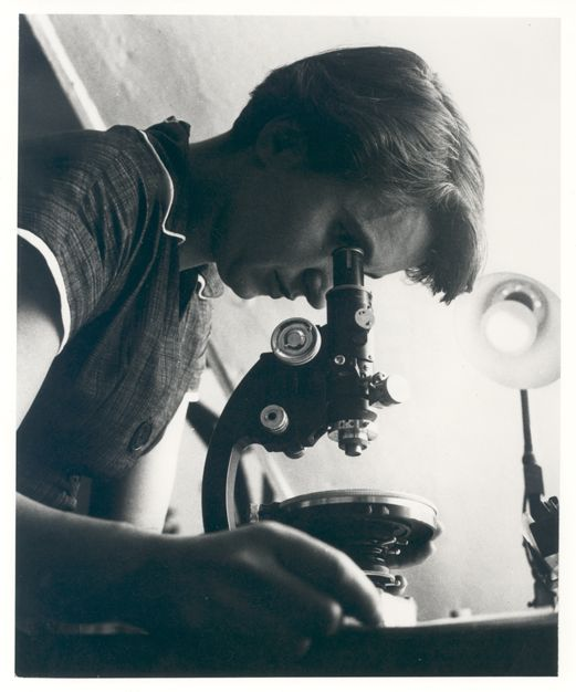 Rosalind Franklin looking through a microscope in a 1955 archival photograph.