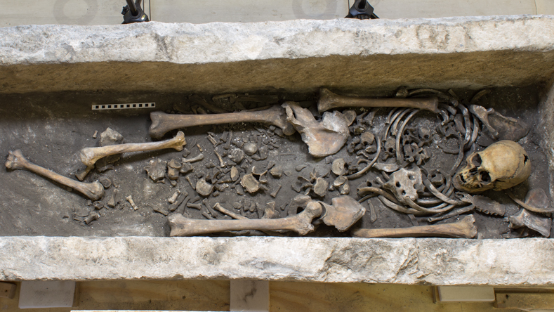 Medieval skeletal remains lying inside the reused Roman sarcophagus from Westminster Abbey.