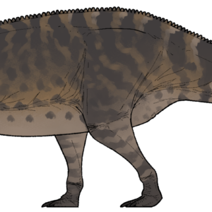 Life reconstruction of Paludohadros proudlovii, a long-bodied four-legged iguanodontian dinosaur
